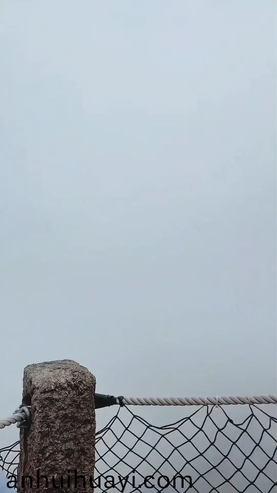 91成人在线播放